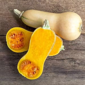 Butternut