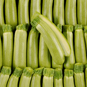 White Zucchini