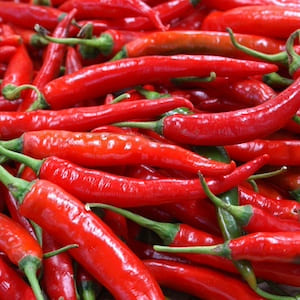 Chili Pepper