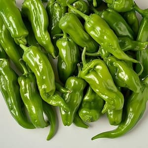 Green Horn Pepper